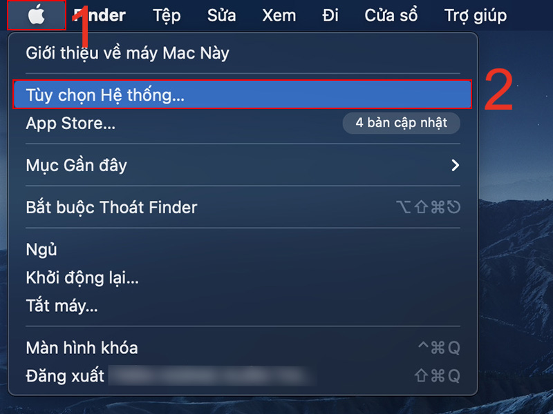 Nhấn vào biểu tượng Apple, chọn Tùy chọn Hệ thống