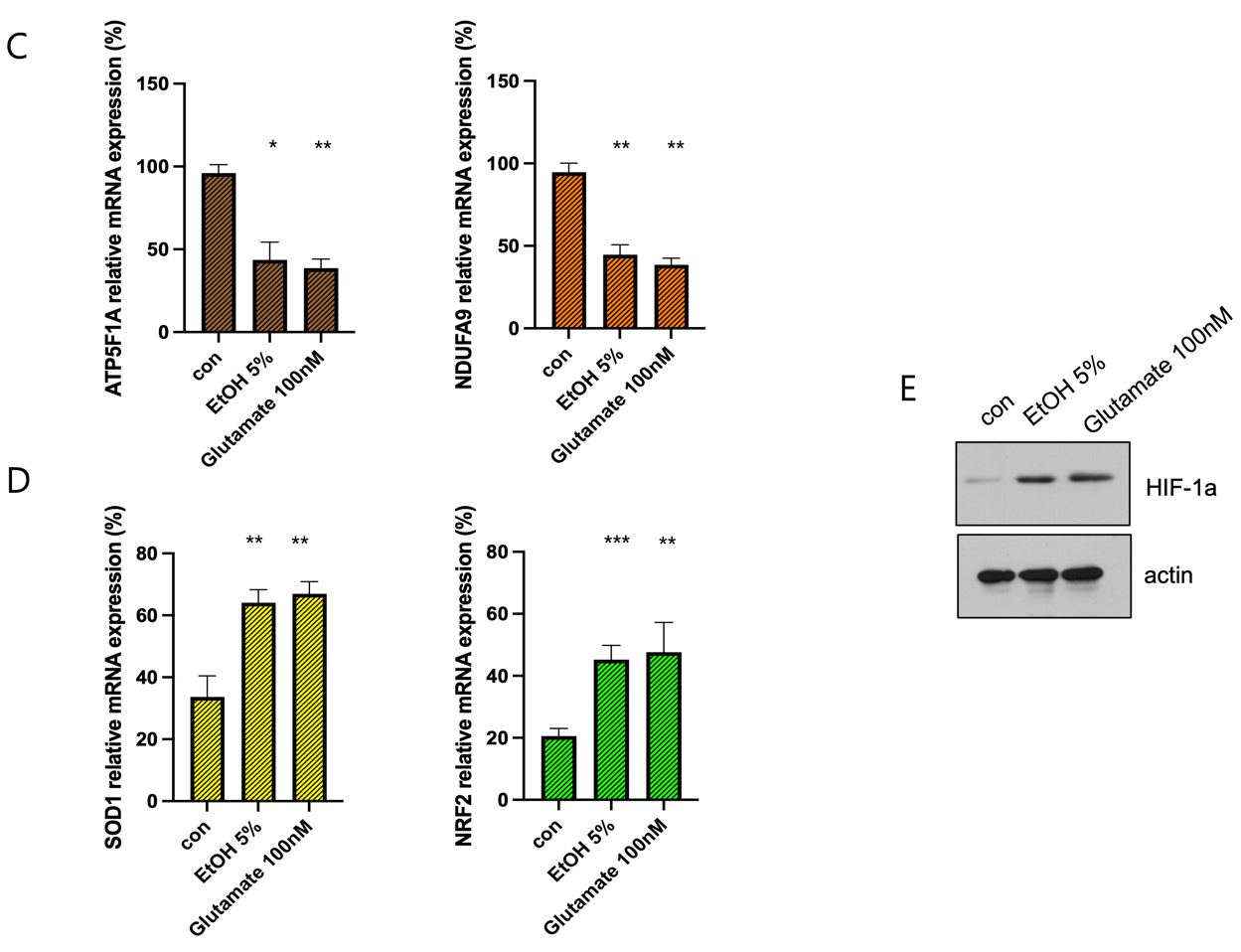 A group of graphs showing different types of dna

AI-generated content may be incorrect.