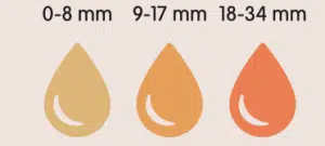 Miel d'Amandier : Goût, arôme, couleur et toutes ses caractéristiques - À PROPOS DU MIEL