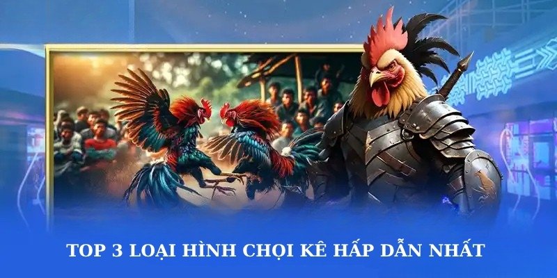 Top 3 loại hình chọi kê hấp dẫn nhất 