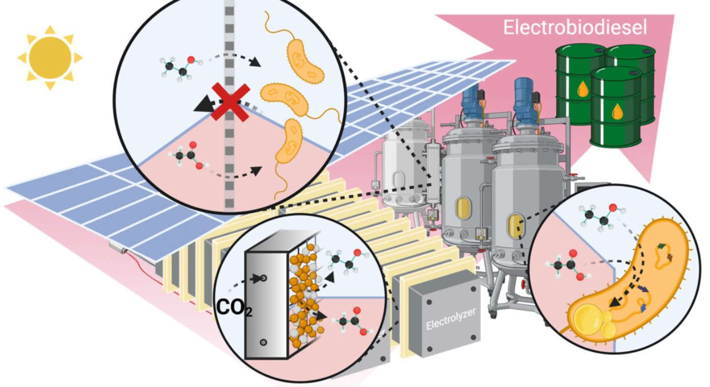 A diagram of a factory

Description automatically generated