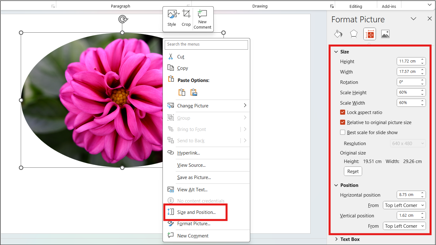 Size and Position Option in PowerPoint. Size & Position options are highlighted.