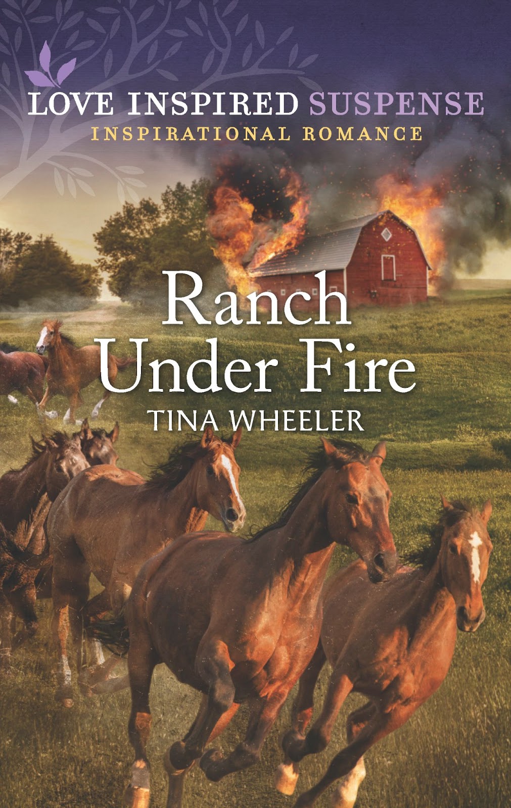 Ranch Under Fire