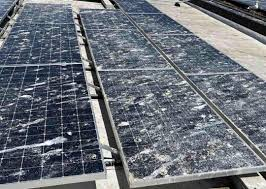 birds dropping on solar panels 