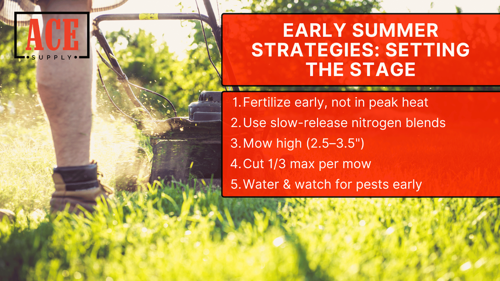 Early Summer Strategies: Setting the Stage
