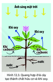 BÀI 12: LỚP VỎ KHÍ. KHỐI KHÍ. KHÍ ÁP VÀ GIÓ TRÊN TRÁI ĐẤT