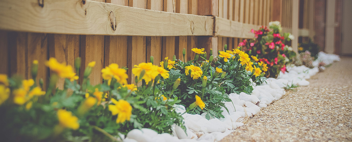 Landscaping for a Dry Basement