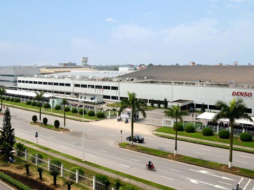 chuyên gia thiết kế cảnh quan