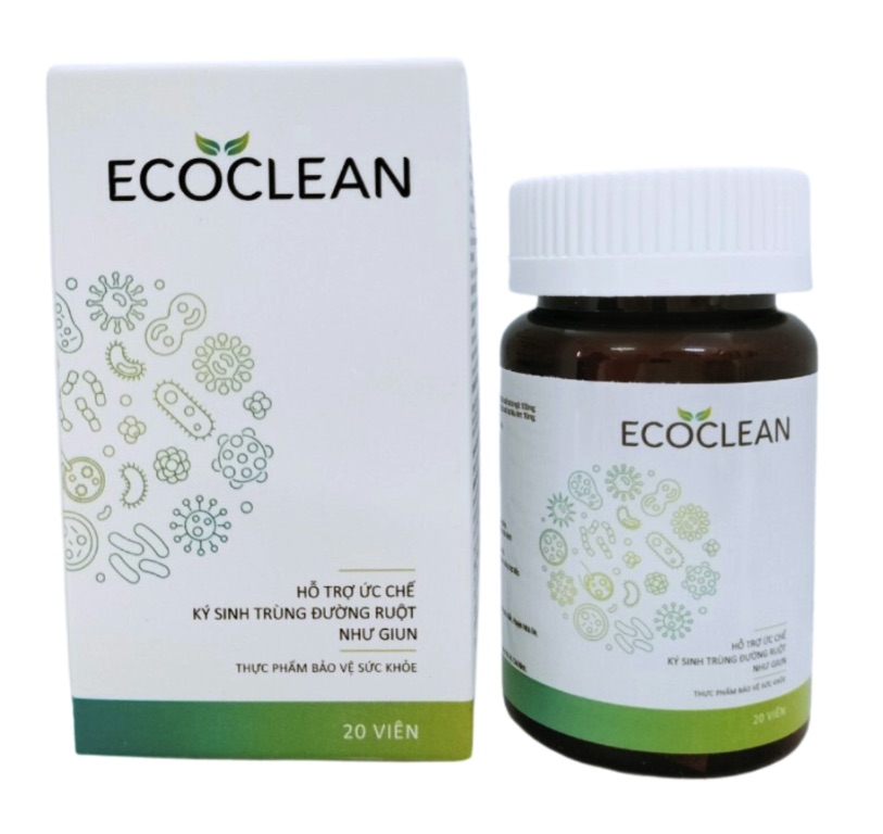 Ecoclean việt nam