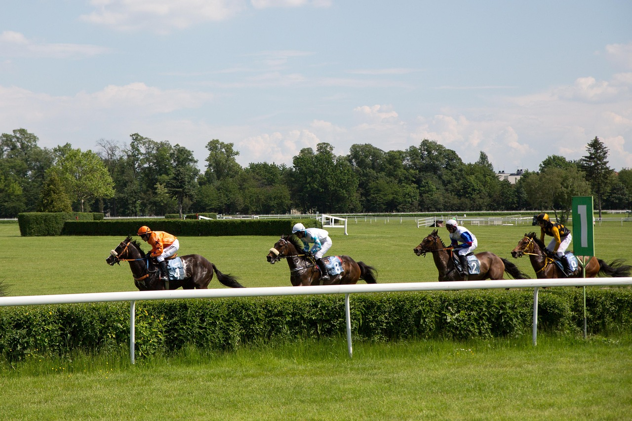 ユニークな海外の競馬と賭け方