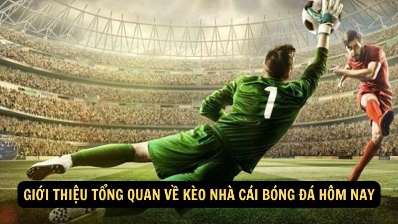 Giới thiệu tổng quan về kèo nhà cái bóng đá hôm nay