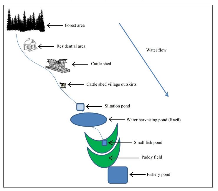 Schematic diagram of Zabo farming system.