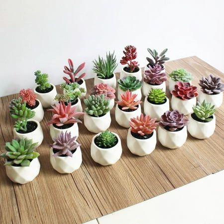 Artificial flowers and plants
