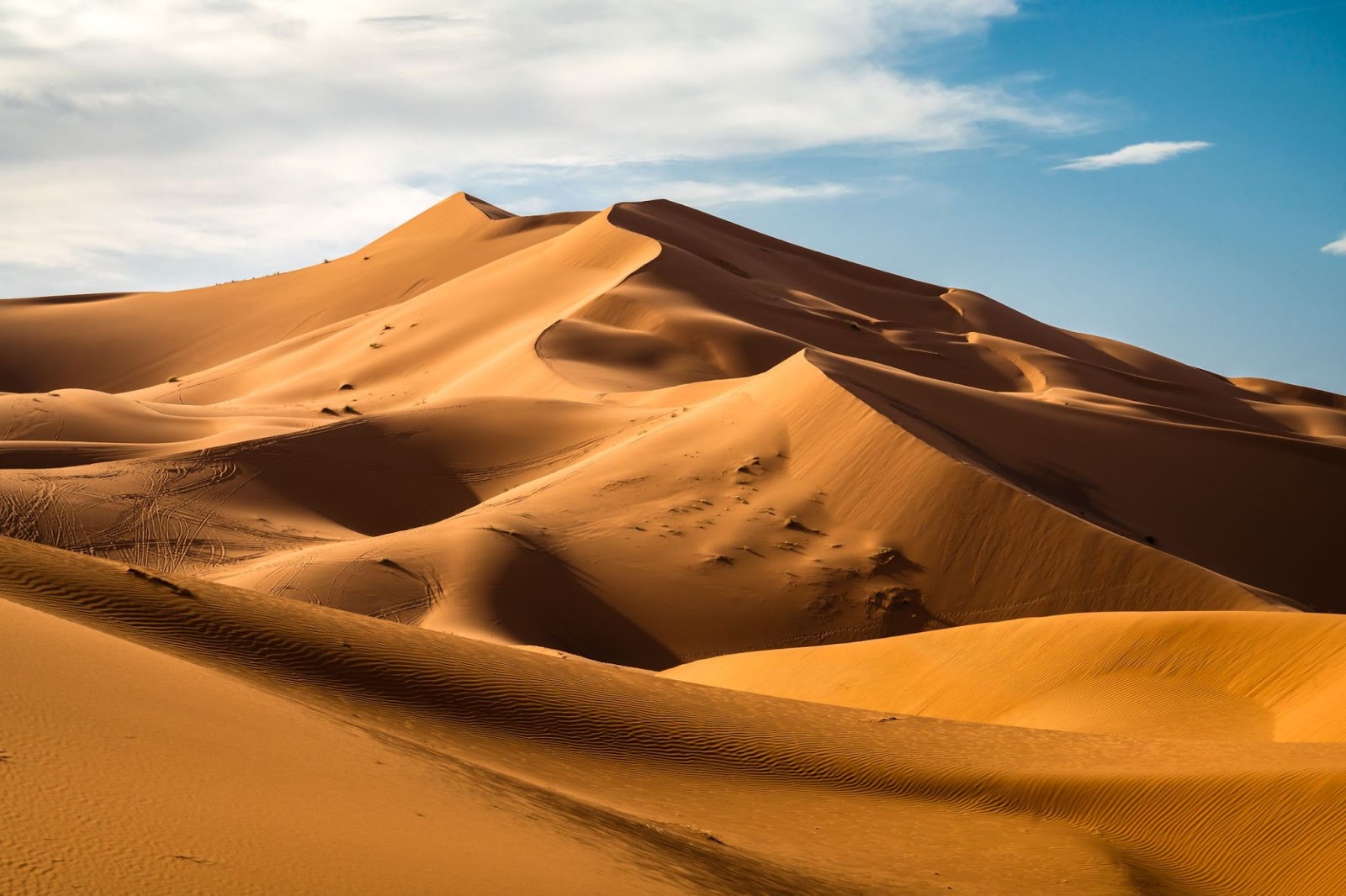 The Sahara desert