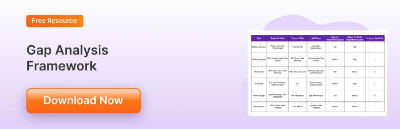 Gap Analysis Framework