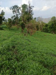C:\Users\dr hmar.LPM\Desktop\Infrastructure LFP\Fodder Farm photos\Selected\IMG-20250429-WA0079.jpg