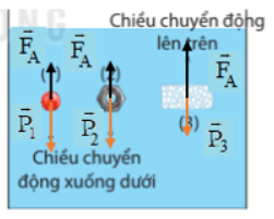 BÀI 17 LỰC ĐẤY ARCHIMEDES