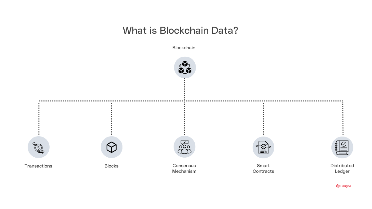 What is blockchain data?