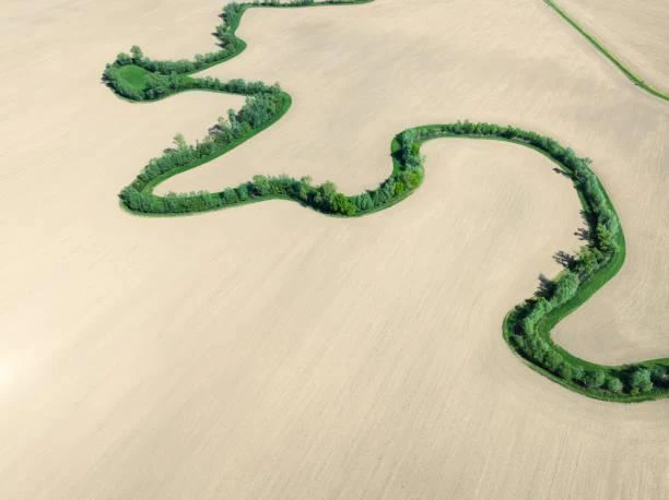 15 Windy Fields Under Open Skies, open field, sky breeze, nature, landscape, flowing grass, air motion