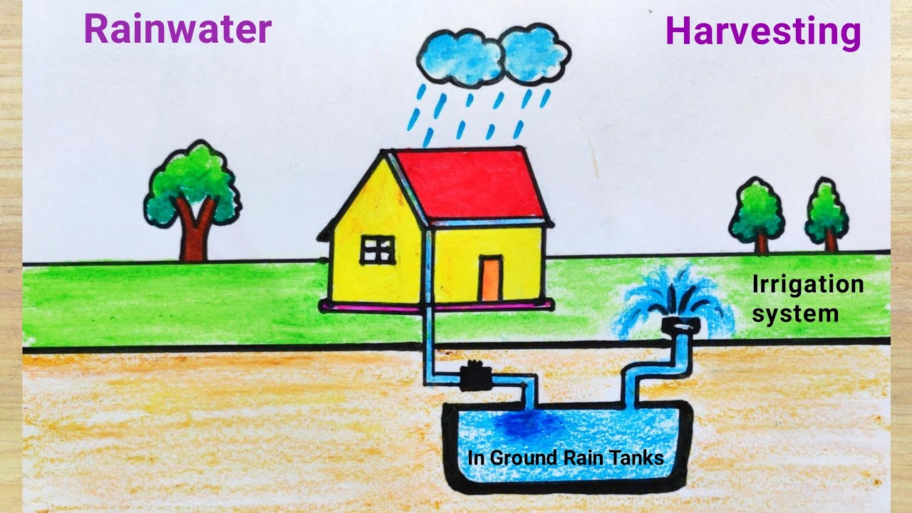 essay on the topic rain water harvesting