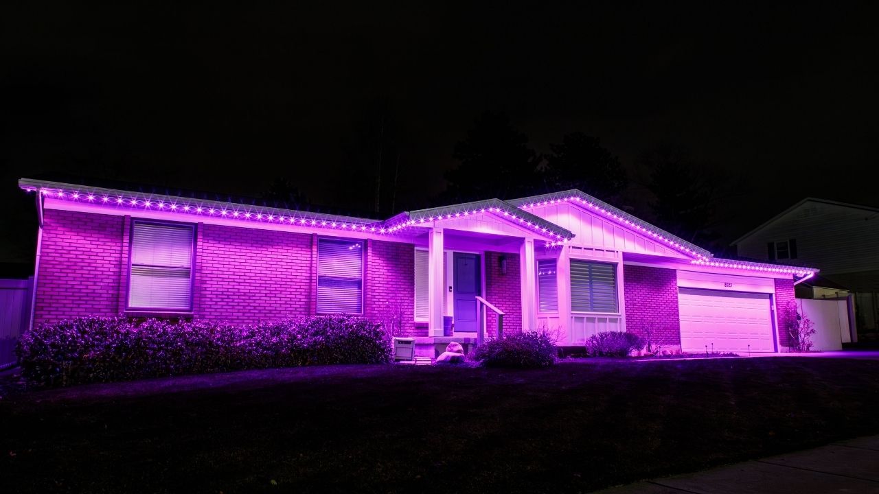 pink permanent Christmas lights