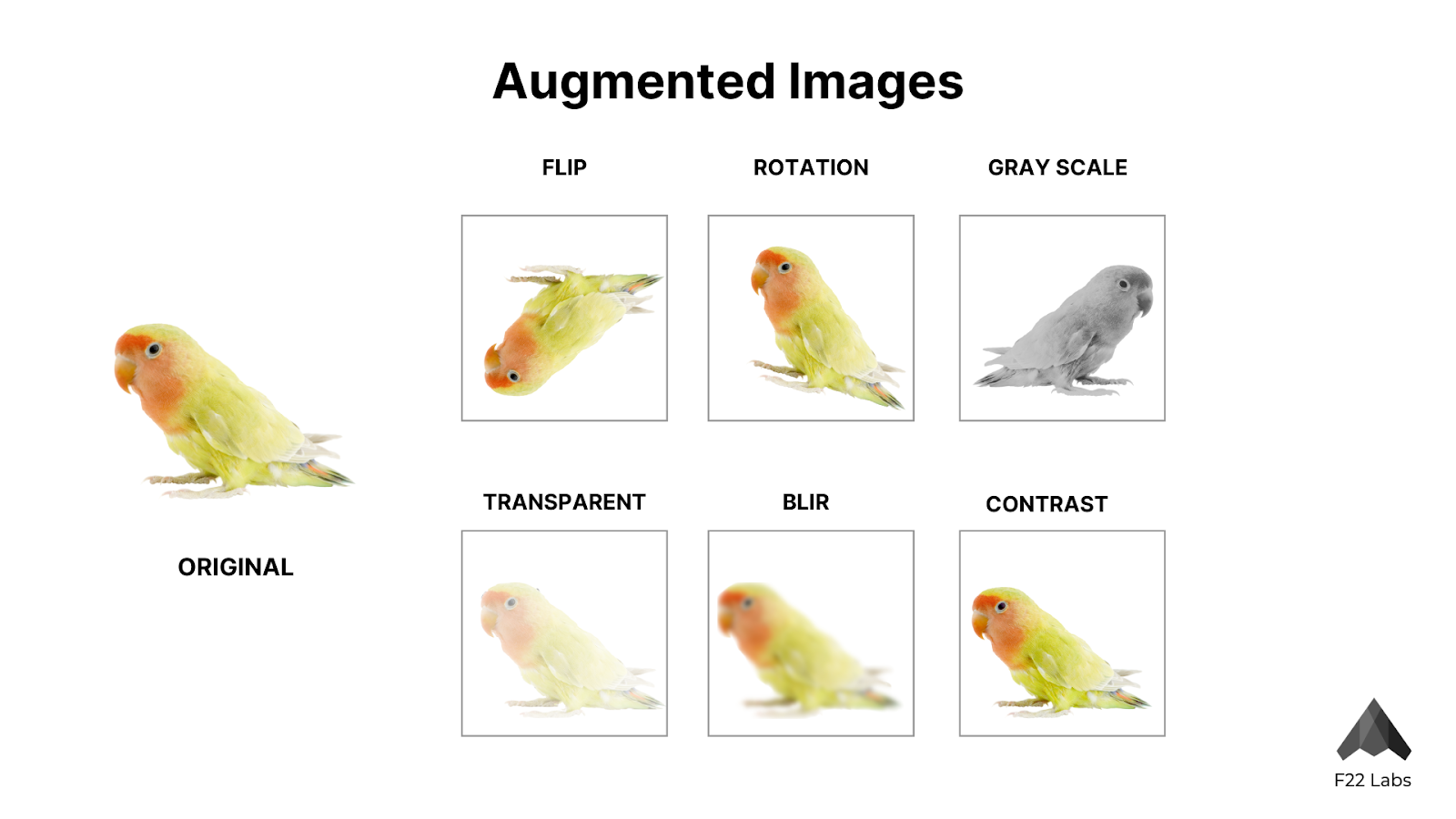 Image Augmentation techniques