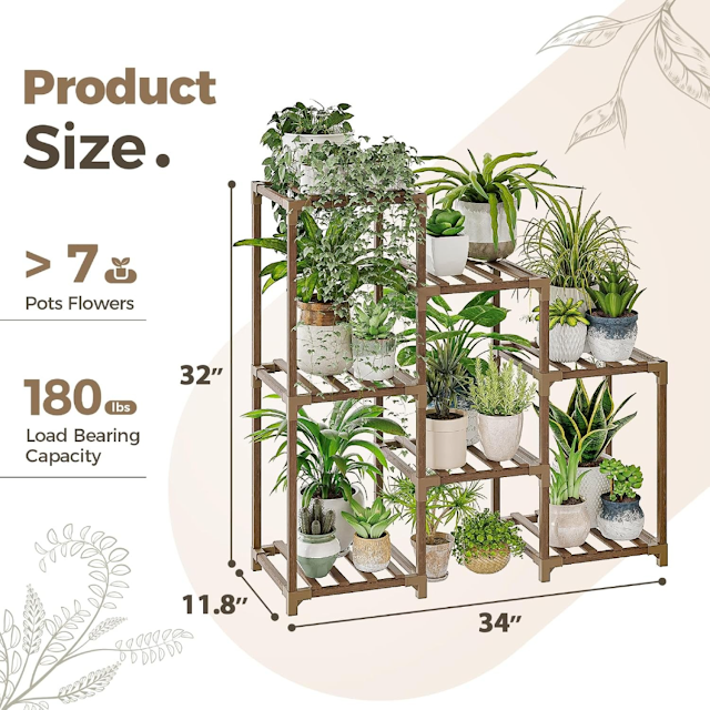 Indoor Plants for Arizona's Desert Climate