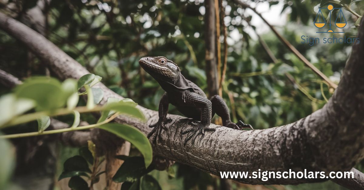 Conservation and Respect: Honoring Real Black Lizards