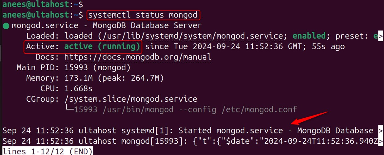 check the status of mongo db service 