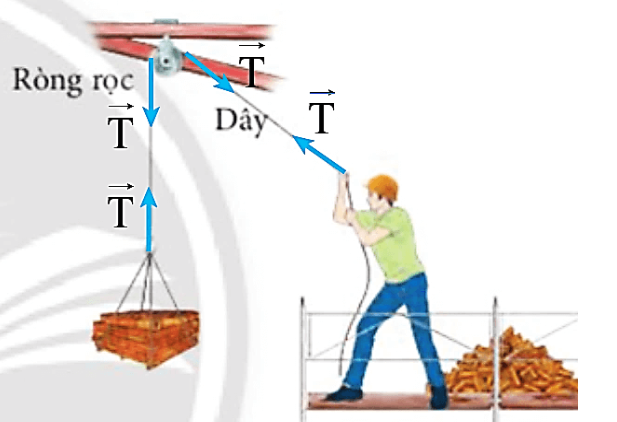 BÀI 11 MỘT SỐ LỰC TRONG THỰC TIỄNMở đầu: Ta biết rằng có thể làm biến dạng hoặc thay đổi trạng thái chuyển động của vật. Trong thực tế, một vật thường chịu tác dụng của nhiều lực khác nhau. Ví dụ khi chuyển động, ô tô vừa chịu tác dụng của nhiều lực khác nhau. Ví dụ khi chuyển động, ô tô vừa chịu lực của lực kéo động cơ, vừa chịu tác động của lực ma sát giữa bánh xe với mặt đường, trọng lực do Trái Đất tác dụng và áp lực do mặt đường tạo ra. Những lực này có đặc điểm gì?Đáp án chuẩn:Đặc điểm: điểm đặt tại ô tô, phương nằm ngang hoặc thẳng đứng và có độ lớn.1. Trọng lựcCâu 1: Khi thả một vật từ độ cao h, vật luôn rơi xuống. Lực nào đã gây ra chuyển động rơi của vật?Đáp án chuẩn:Trọng lực hay còn gọi là lực hút trái đất.Câu 2: Hai bạn đang đứng ở vị trí A và B trên Trái Đất như Hình 11.3. hãy vẽ vectơ trọng lực tác dụng lên mỗi bạn.Đáp án chuẩn:Câu 3: Để xác định trọng tâm của một vật phẳng, người ta có thể làm như sau: Buộc dây vào một lỗ nhỏ ở mép của vật rồi treo vật thẳng đứng. Khi vật cân bằng, dùng bút đánh dấu phương của sợi dây lên vật. Sau đó ta thay đổi điểm treo và thực hiện tương tự. Giao điểm của hai đường kẻ chính là trọng tâm của vật mà ta cần xác định. Dựa vào phương pháp trên, hãy tiến hành thí nghiệm xác định trọng tâm của một vật phẳng bất kì.Đáp án chuẩn:Các em có thể thực hiện thí nghiệm này với chiếc thước kẻ đã bị đục lỗ.2. Lực ma sátCâu 1: Quan sát Hình 11.5, em hãy dự đoán chuyển động của thùng hàng khi chịu tác dụng của các lực có cùng một độ lớn trong hai trường hợp.Đáp án chuẩn:Thùng hàng a không di chuyển, thùng hàng b di chuyển về phía trước.Câu 2: Sau khi ta dừng tác dụng lực vào thùng hàng, ta quan sát thấy thùng hàng tiếp tục chuyển động và dừng lại sau khi đi được một đoạn. Em hãy giải thích tại sao thùng hàng dừng lại.Đáp án chuẩn:Do thùng hàng đã chịu lực ma sát có chiều ngược lại với chiều chuyển động.Câu 3: Nêu điểm giống và khác nhau của ba loại lực ma sát: ma sát trượt, ma sát lăn và ma sát nghỉ.Đáp án chuẩn:- Giống nhau:+ Đều có điểm đặt trên vật và ngay tại vị trí tiếp xúc của hai bề mặt.+ Đều có phương tiếp tuyến và ngược chiều chuyển động- Khác nhau:+ Lực ma sát nghỉ xuất hiện khi vật nằm yên trên bề mặt+ Lực ma sát trượt xuất hiện khi vật di chuyển+ Lực ma sát lăn xuất hiện khi vật lăn trên một bề mặt.Câu 4: Dựa vào các Hình 11.5, 11.6, hãy vẽ hình biểu diễn lực ma sát tác dụng lên các vật.Đáp án chuẩn:Câu 5: Giải thích ý nghĩa của chuyển động tương đối của hai bề mặt tiếp xúc khi nói về chiều của lực ma sát.Đáp án chuẩn:Ý nghĩa: khi ta tác dụng lực vào vật có xu hướng như thế nào mà vật vẫn đứng yên thì tại vật xuất hiện lực ma sát ngược chiều với chiều tác dụng vào vật.Câu 6: Dựa vào kinh nghiệm cuộc sống của em, hãy phân tích lợi ích và tác hại của lực ma sát.Đáp án chuẩn:+Lợi ích: Giúp cố định các vật trong không gian; Giúp các vật đang trượt hay lăn dừng lại.+Tác hại: Làm mòn bề mặt của các vật; Cản trở chuyển động của các vật...Câu 7: Quan sát Hình 11.9 và giải thích cơ chế vật lý giúp con người có thể bước đi.Đáp án chuẩn:Khi chân người bước đi, áp lực của mặt đường lên chân và áp lực của chân lên mặt đường cùng phương, ngược chiều và có cùng độ lớn nên hai lực này triệt tiêu. Lực ma sát nghỉ do chân tác dụng lên mặt đường và lực ma sát nghỉ do mặt đường tác dụng lên chân cùng phương, ngược chiều và cùng độ lớn nên chúng cũng triệt tiêu. Lực do mặt đường tác dụng lên chân không bị triệt tiêu, vì vậy mà con người có thể bước đi được.Câu 8: Dựa vào kiến thức đã học, hãy cho biết các trường hợp trong Hình 11.10 là ứng dụng đặc điểm gì của lực ma sát và nêu cụ thể loại lực ma sát được đề cập. Đáp án chuẩn:- Hình 11.10a: lực ma sát lăn.- Hình 11.10b: lực ma sát nghỉ- Hình 11.10c: lực ma sát trượt.3. Lực căng dâyCâu 1: Cho ví dụ minh họa tính chất của lực căng dây xuất hiện tại mọi điểm trên dây.Đáp án chuẩn:Ví dụ: Kéo vật bằng ròng rọcChuyển động của con lắc đơn được treo vào một sợi dây không dãn.Câu 2: Hình 11.13 mô tả quá trình kéo gạch từ thấp lên cao qua hệ thống ròng rọc. Xem chuyển động của thùng gạch là đều, hãy xác định lực căng tác dụng lên vật nâng và ròng rọc bằng hình vẽ. Từ đó hãy chỉ ra điểm đặt, phương, chiều và độ lớn của lực căng dây. Biết lượng gạch trong mỗi lần kéo có khối lượng 20 kg và lấy g = 10 m/s2 Đáp án chuẩn:Lực căng:+ Điểm đặt: tại vật+ Phương: thẳng đứng+ Chiều: từ dưới lên trên+ Độ lớn: 200 N.4. Lực đẩy Archimedes