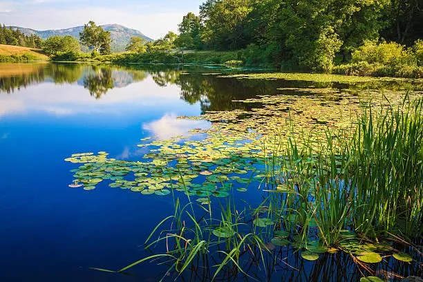 12 Rolling Hills That Soothe the Eyes, rolling hills, gentle land, nature, landscape, scenic comfort, visual peace