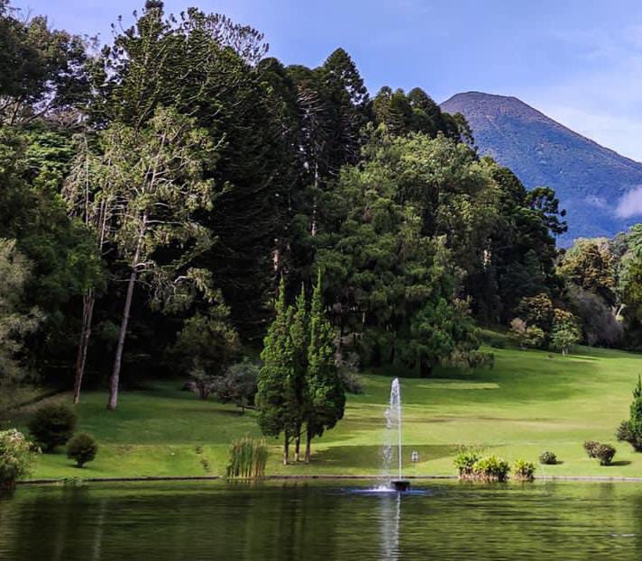 Wisata Kebun Raya Cibodas