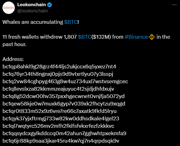 Bitcoin Whales Withdraw $132M Btc 