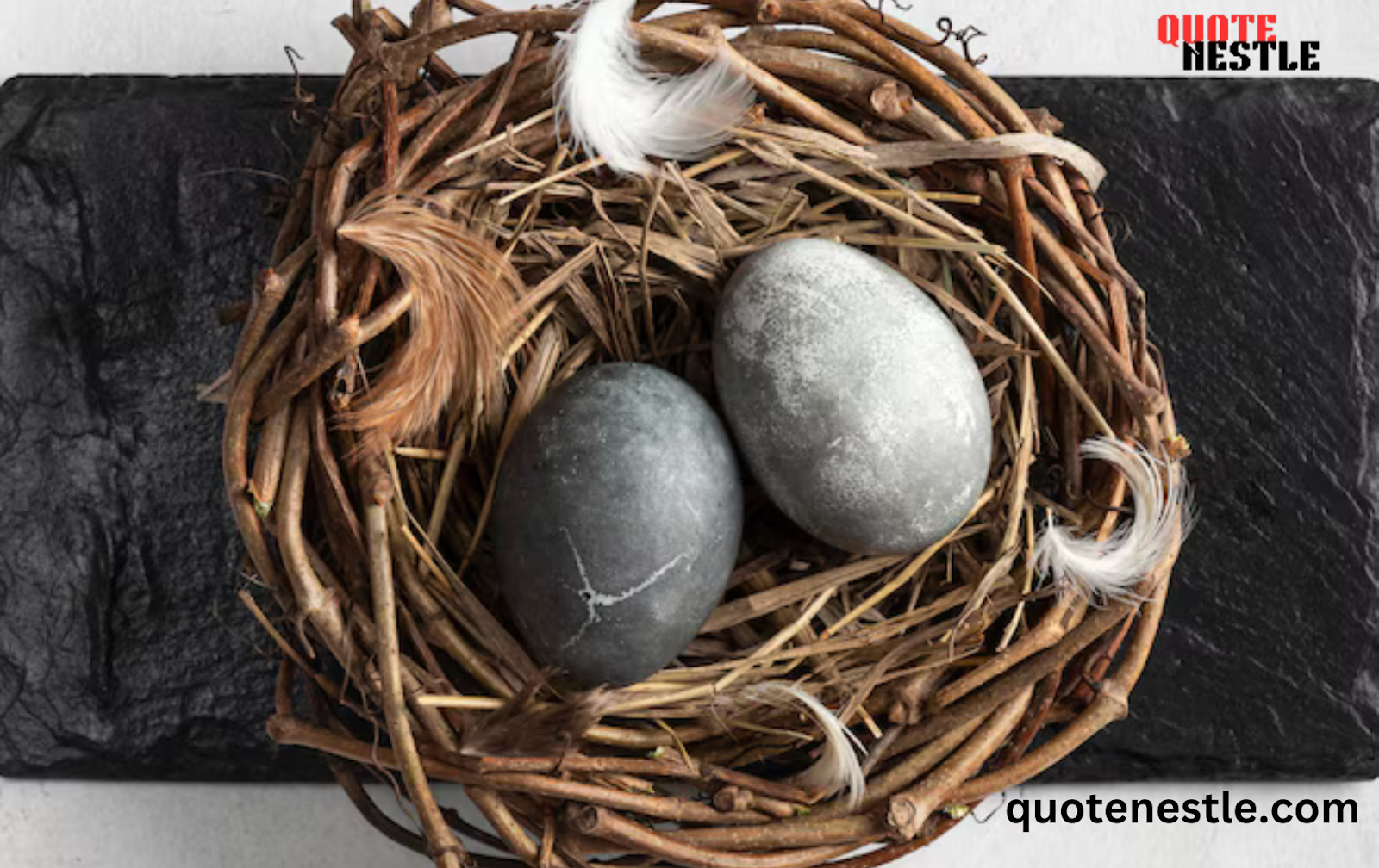 Powerful  empty nest quote