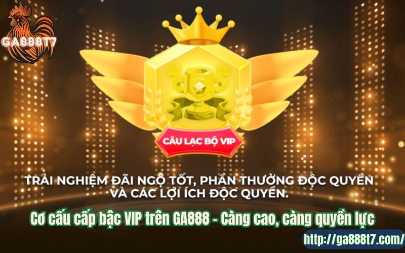 Cơ cấu cấp bậc VIP trên GA888 – Càng cao, càng quyền lực