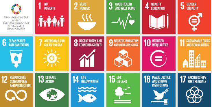 Sustainable Development Goals (SDGs)
