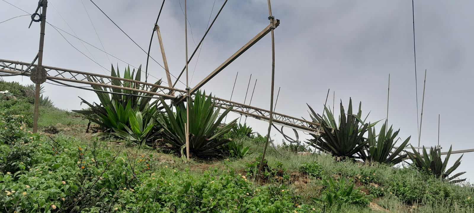 15 meter tower collapsed