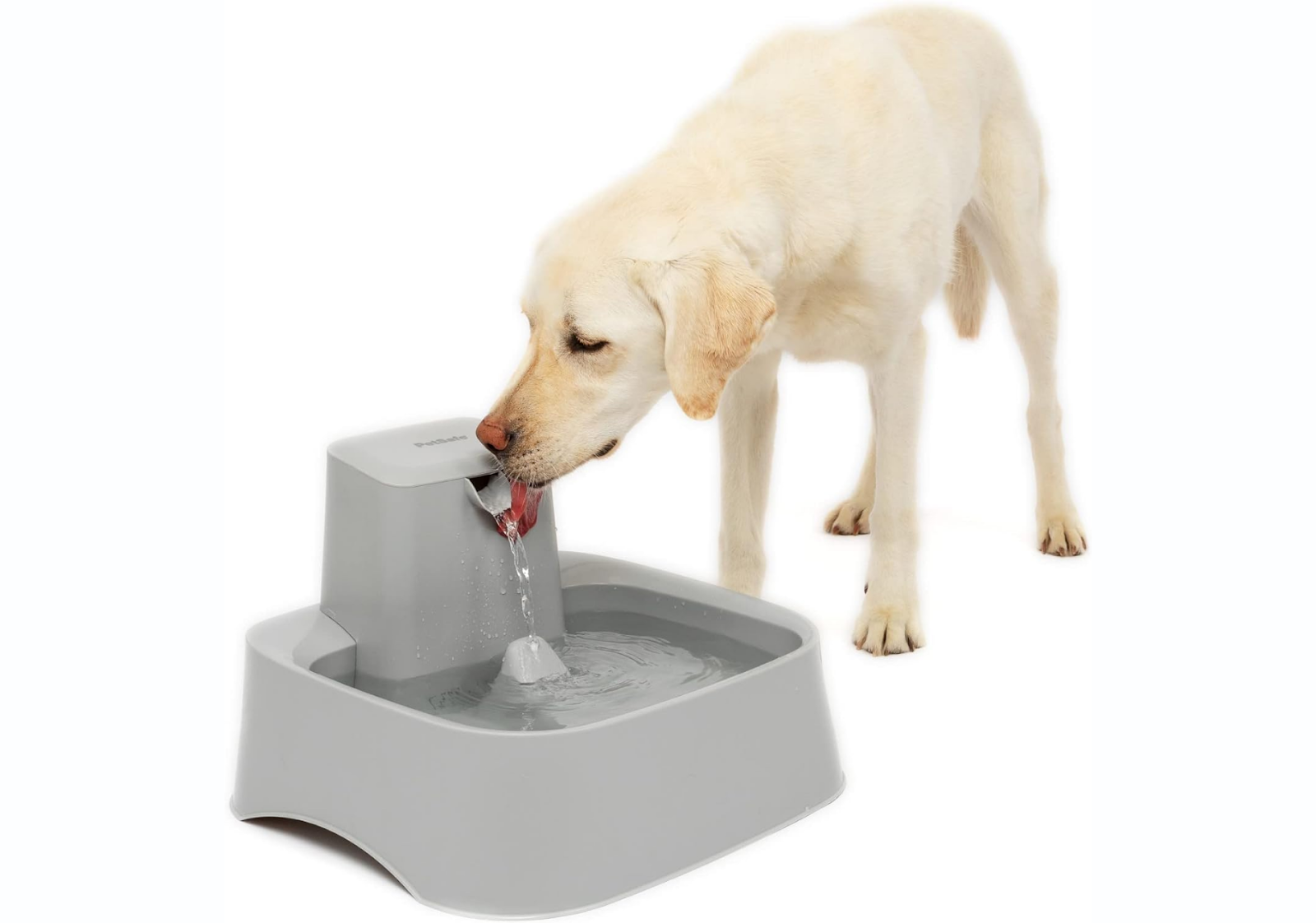 PetSafe Drinkwell Fountain