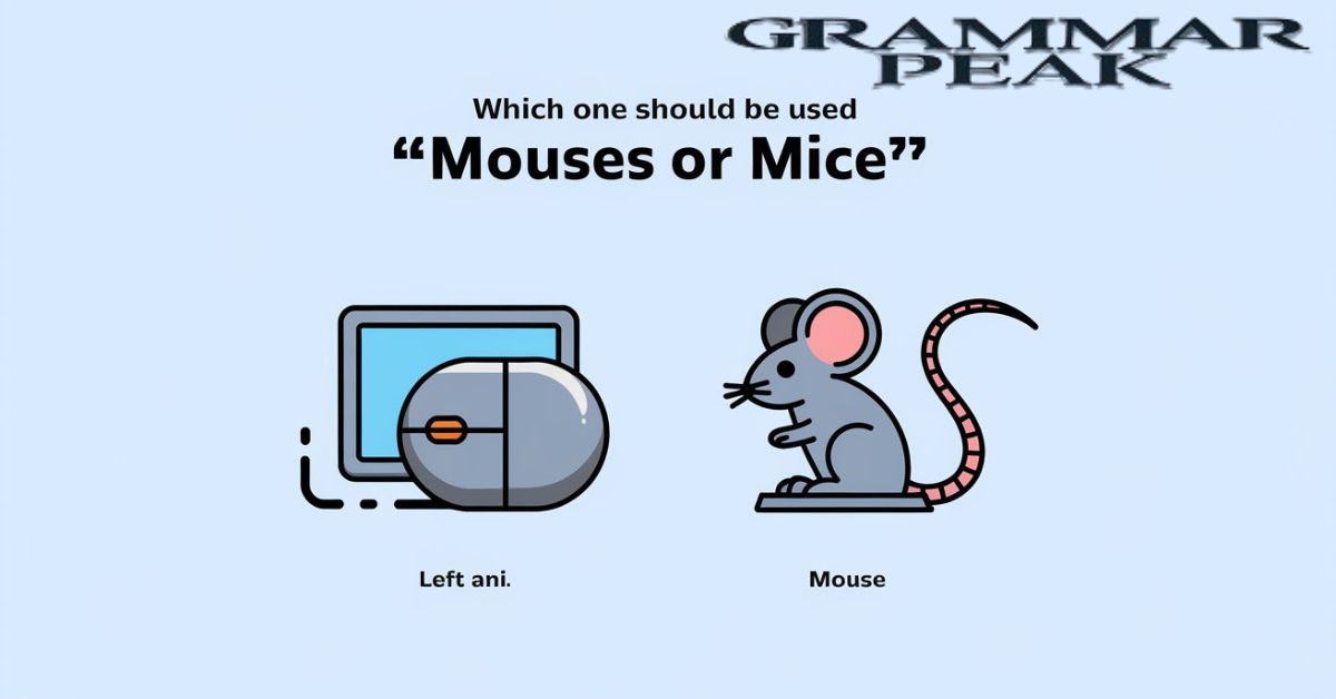 Which One Should Be Used “Mouses” or “Mice”?