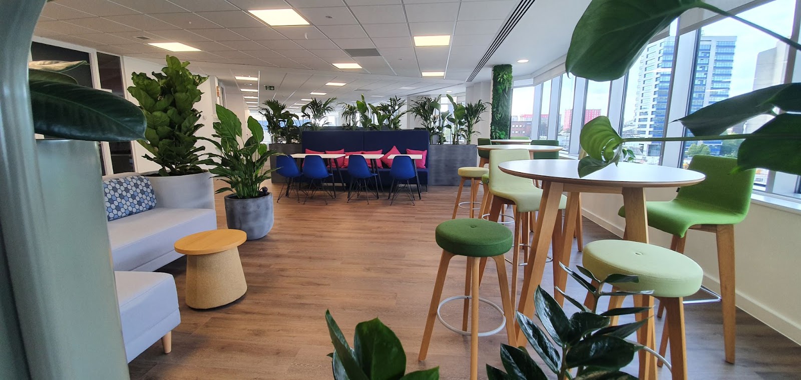 Work Environment With Plant Display