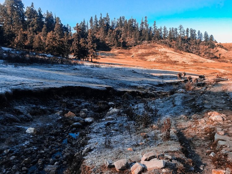 Khaptad National Park