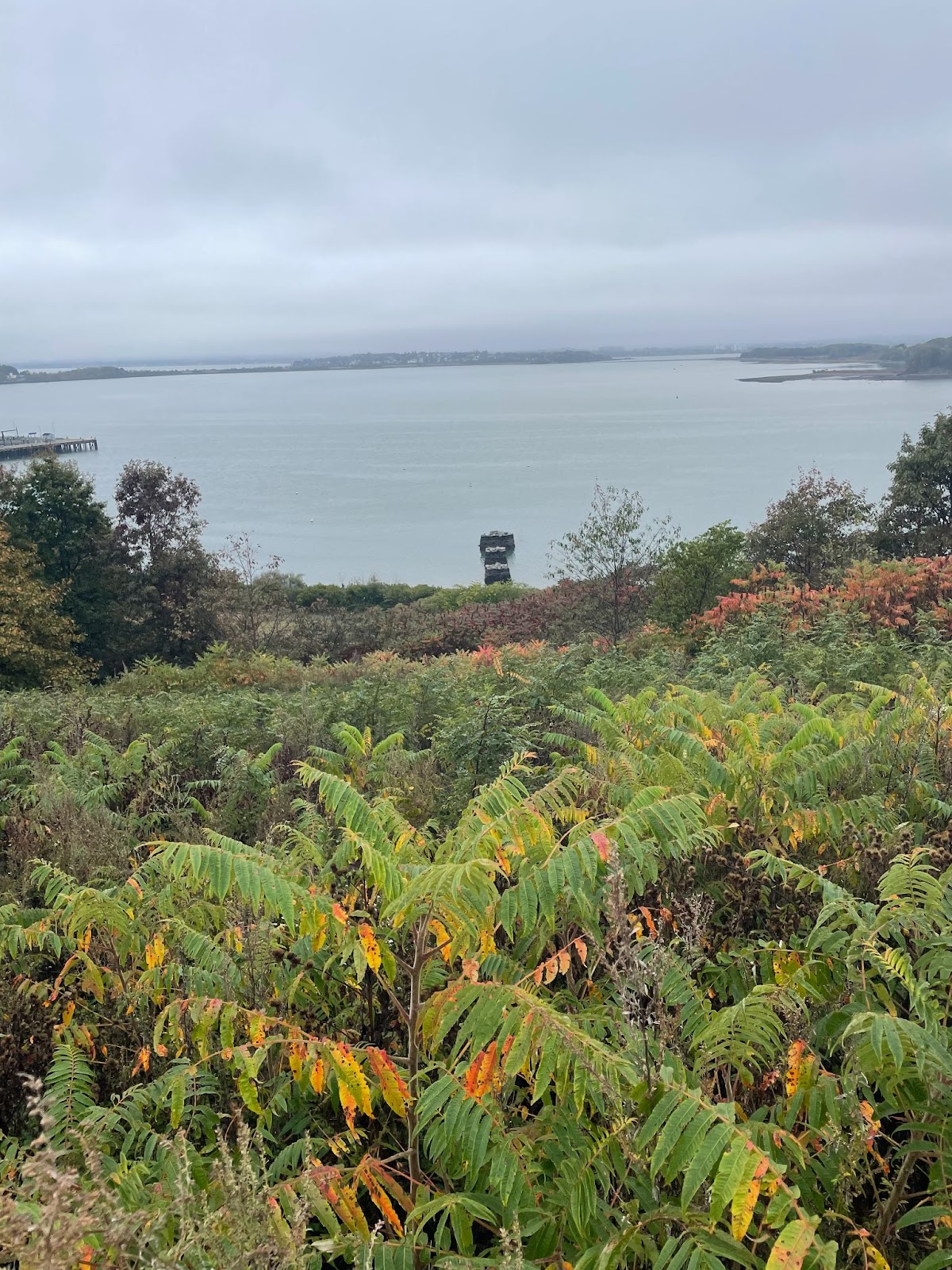 From near the top of Spectacle Island the image shows a zoomed-out shot of the cobblestone remnants of the old pier. Three stone structures jut out of the water near the short, and green ferns furnish the hillside leading up to the camera. 