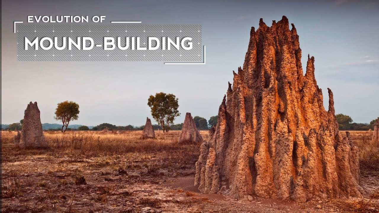 A vast savanna landscape showcases several tall termite mounds made of reddish earth. The largest mound stands prominently in the foreground, echoing biomimetic innovation. Scattered across the grassy plain, more mounds appear, with trees and distant hills completing the scene.