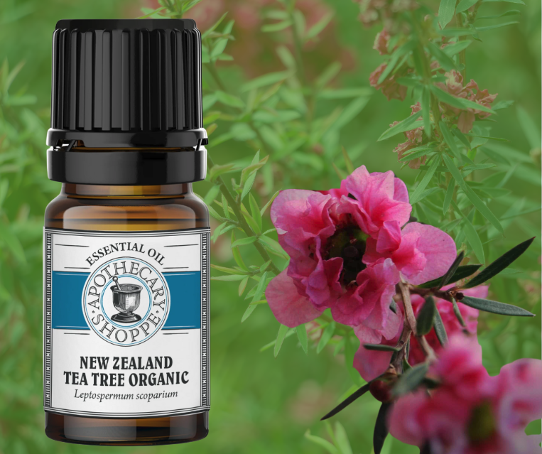 A bottle of New Zealand Tea Tree Essential Oil