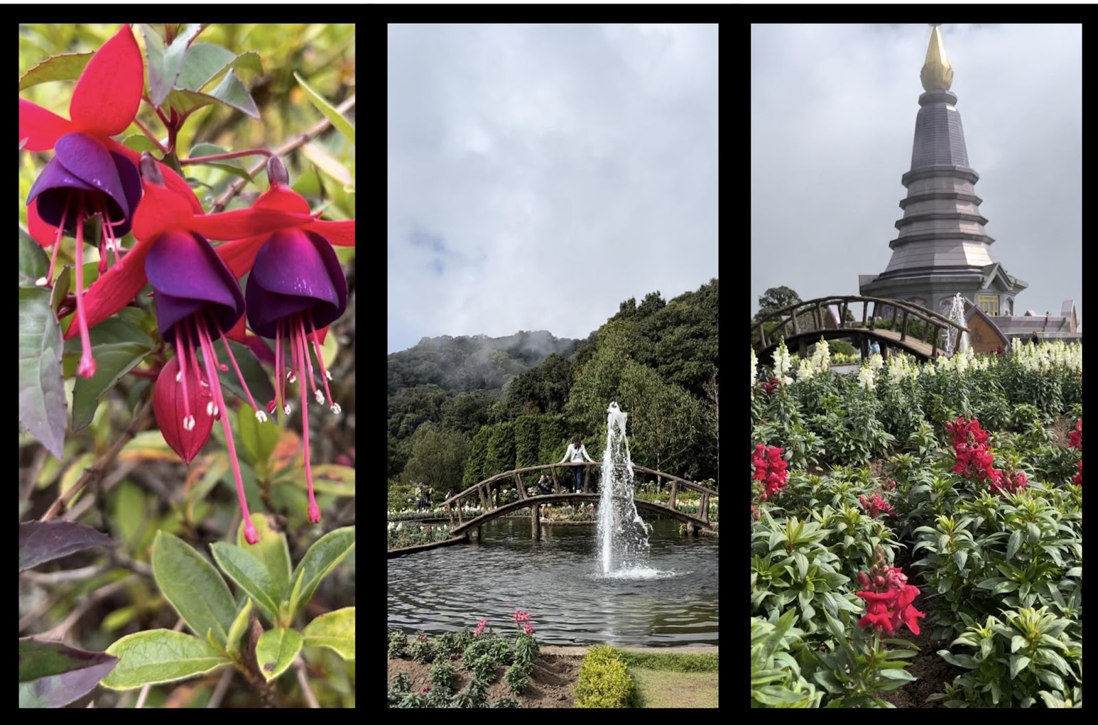 doi inthanon flower garden 
