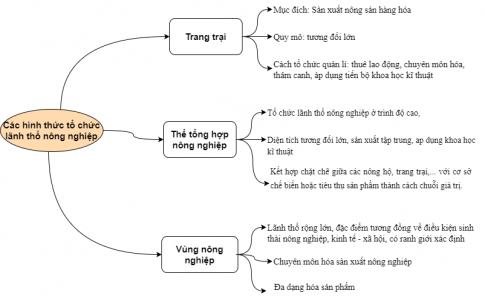 BÀI 22. TỔ CHỨC LÃNH THỔ NÔNG NGHIỆP