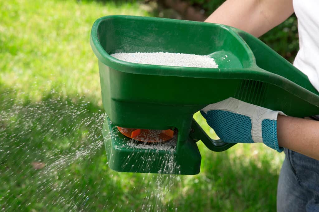 Applying Fertilizer to the Grass