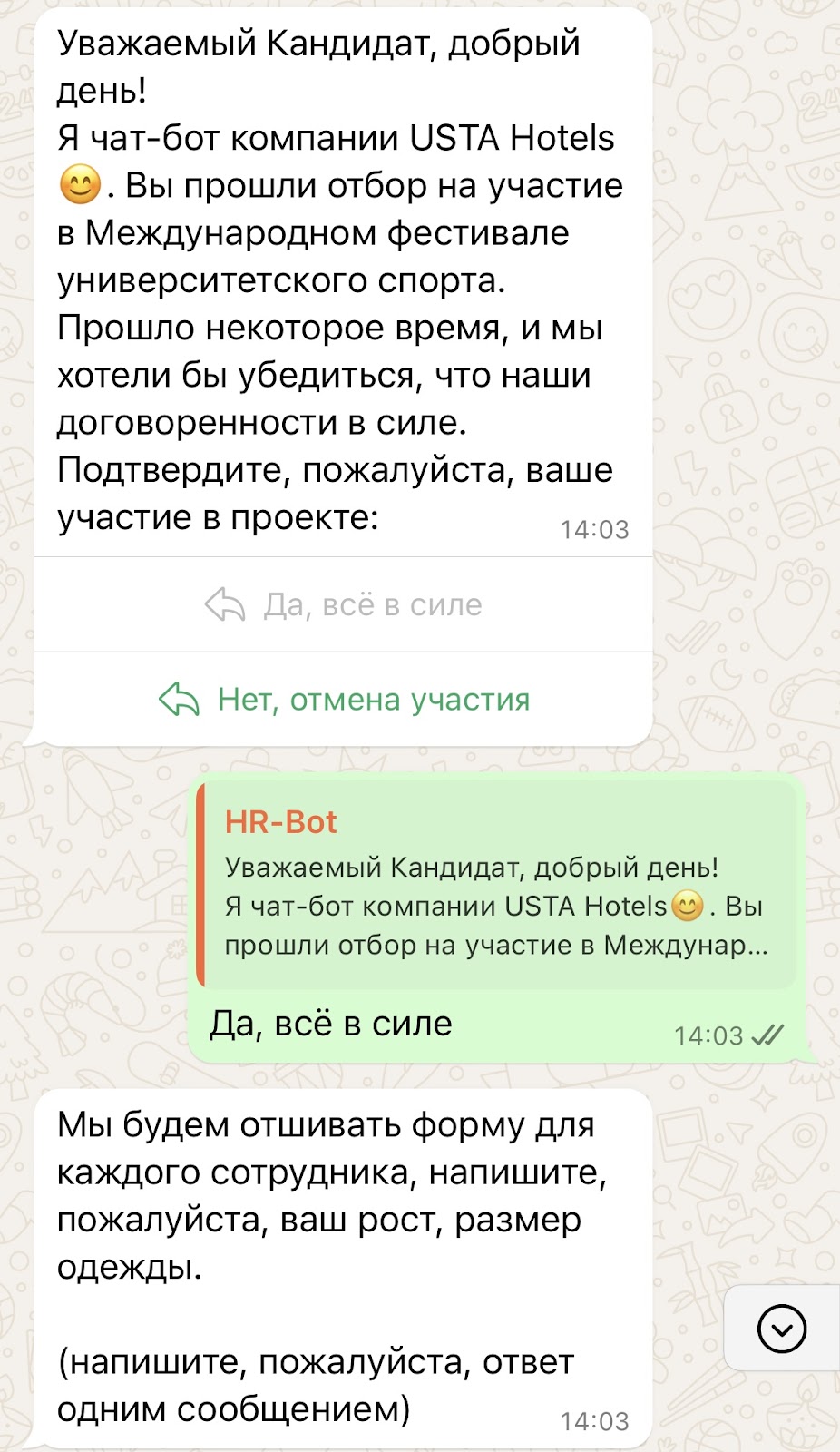 Чат-бот уточняет у кандидата о его решении, чтобы не упустить его