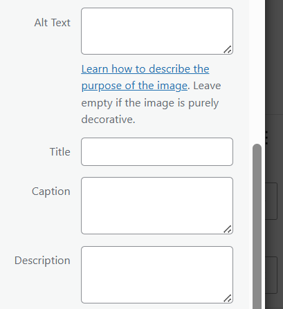 a screenshot of alt text section once you choose an image