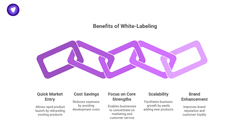 Visual graphic of interlinked chains illustrating five benefits of white label digital products: quick market entry, cost savings, core strengths focus, scalability, and brand enhancement.